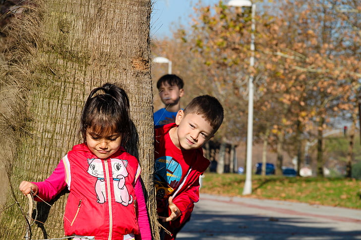 three kids playing near brown tree trunk at daytime