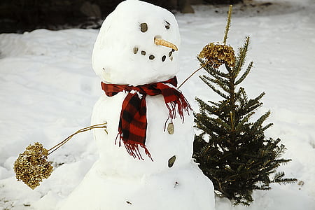 snowman in red plaid scarf