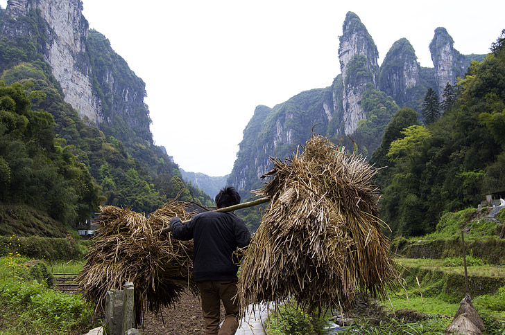 man standing while carrying hay shoulder pole