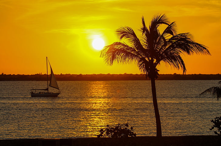 silhouette of palm tree near seashore and sailboat on calm body of water during golden hour