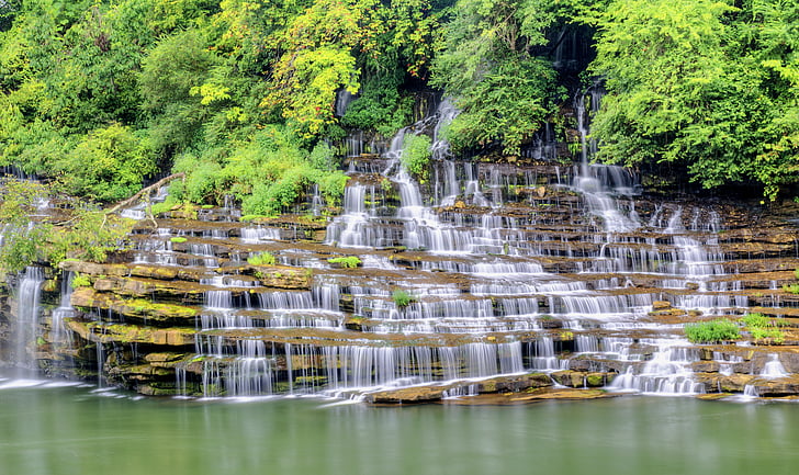 waterfalls and green leafed trees at daytime