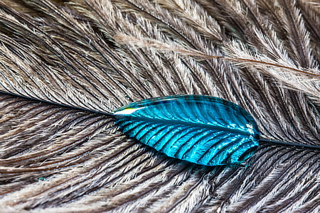 blue gemstone on feathers