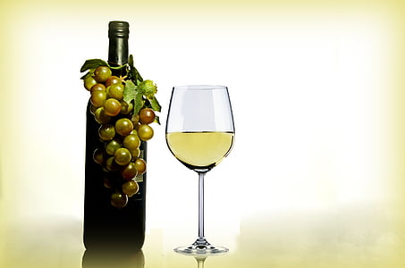 photograph of wine and fruit