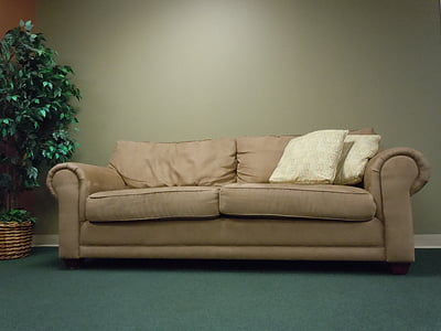 brown fabric 2-seat sofa with two pillow near green leaf potted plant