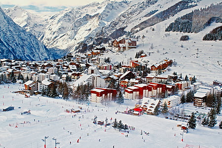 aerial photo of village