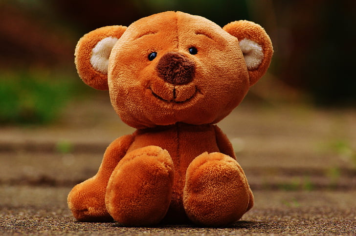 https://i2.pickpik.com/photos/632/550/476/bear-teddy-soft-toy-stuffed-animal-preview.jpg