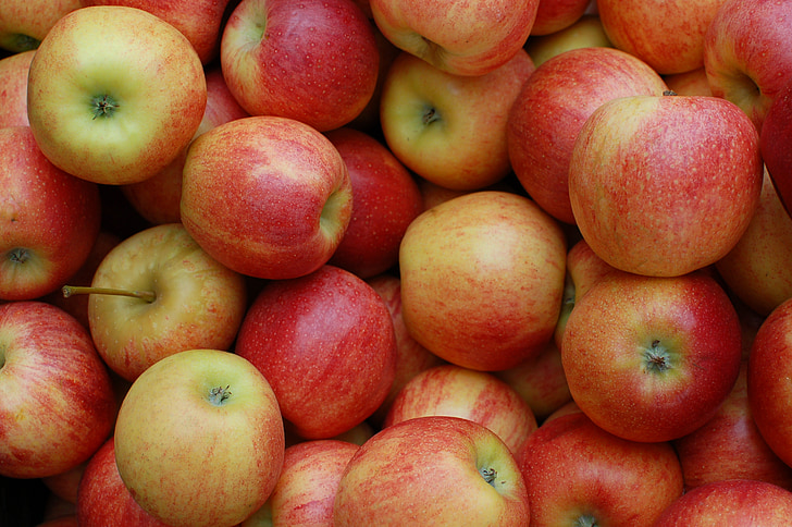 close-up photography of apple fruits