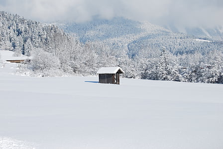 photo of brown wooden house covered by snow during daytime