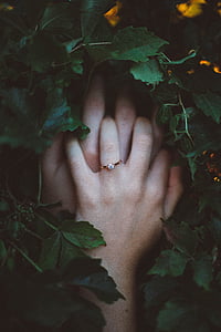 two hands wearing gold-colored clear gemstone solitaire ring hiding on leaves