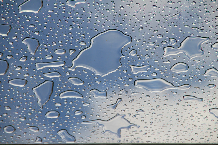water dew closeup photo