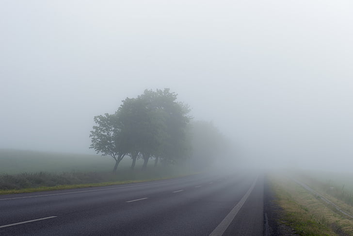 asphalt road beside trees covered with fogs during foggy time