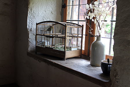 brown wooden birdcage near window