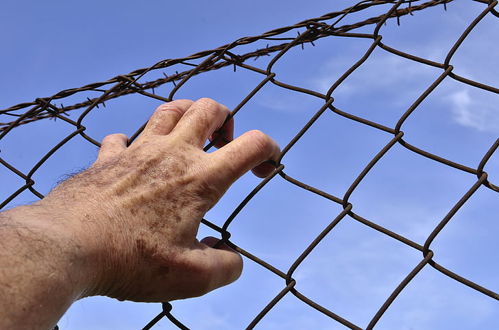 person holding brown metal chain link fence at during daytime