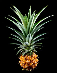 photo of pineapple