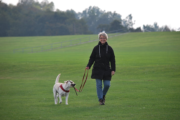 woman in black hooded jacket beside white dog walking in lawn field