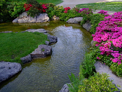 body of water surrounded with purple petaled flowers and grasses