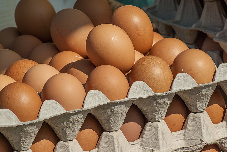 closeup photo of organic eggs