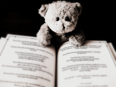 brown teddy bear and notebook
