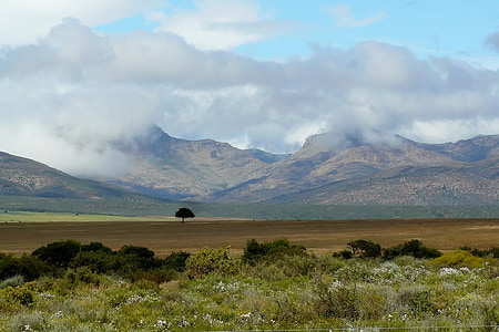 landscape photo of plain near mountains