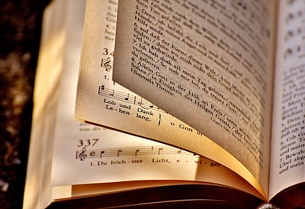 closeup photo of book pages