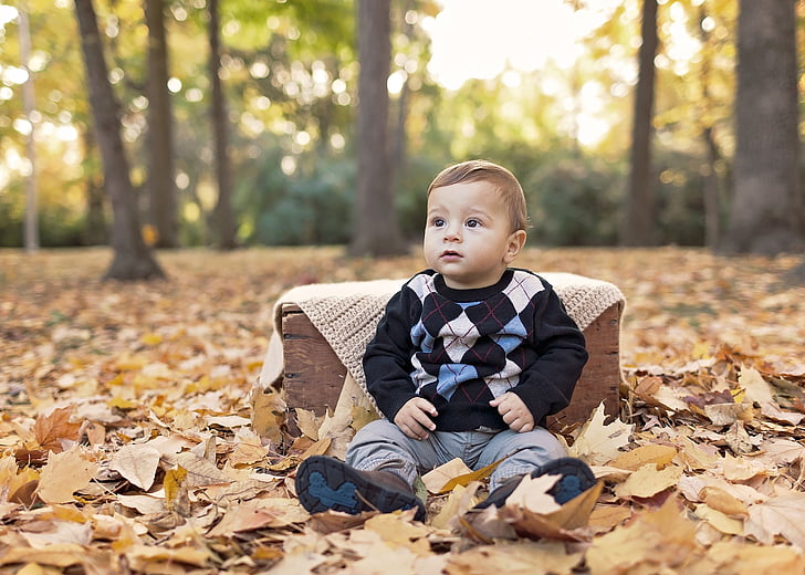 toddler's wearing black sweater outdoor on dried brown maple leaves