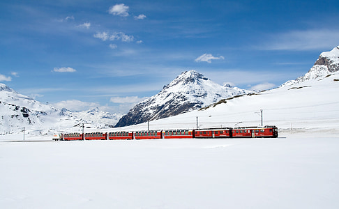 red and gray train during snow time