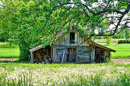 brown wooden barn near tree during daytime