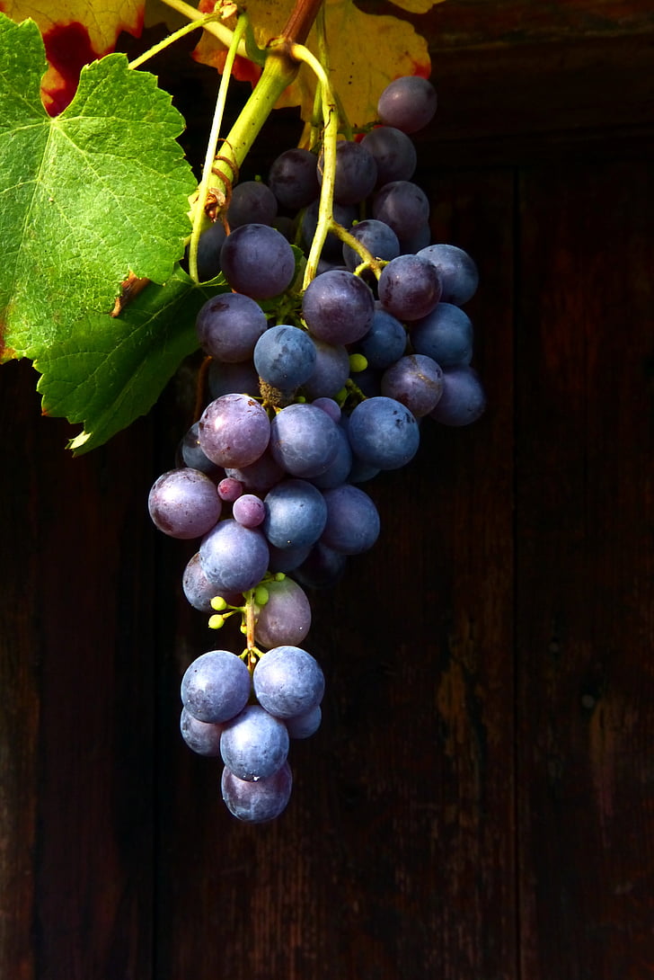 grapes hanging beside wooden surface