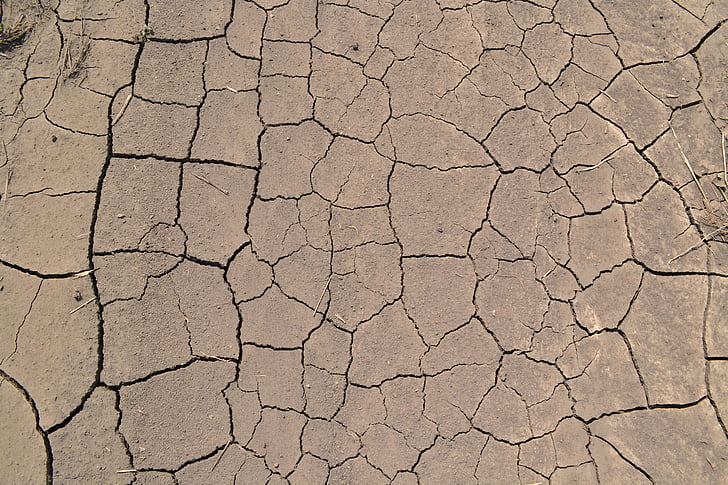 dried soil