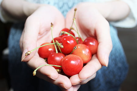 closeup photography of person carrying handful of cherry
