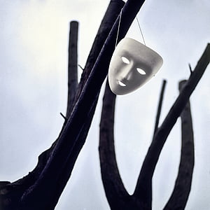 white face mask on tree branch