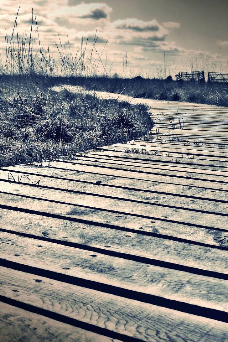 filtered photography of wooden dock overlooking grassy fieldds