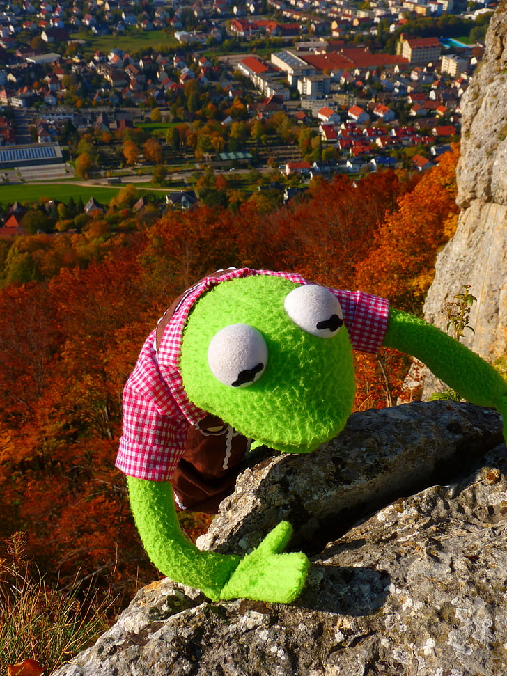 green frog plush toy climbing on brown stone cliff
