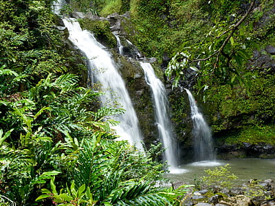 waterfalls surrounded by trees and grasses