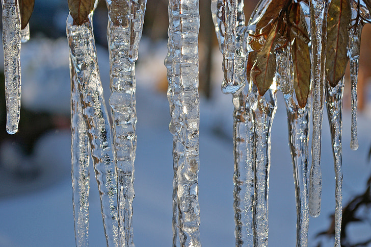 ice, ice age, icicle, winter, cold, snow