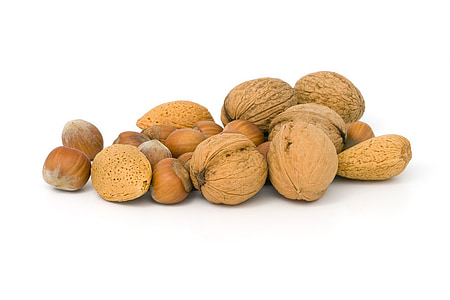 brown nut lot