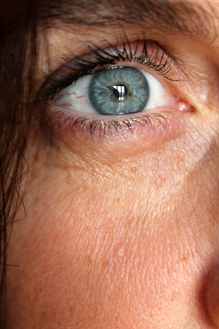 close up photo of women's eyes