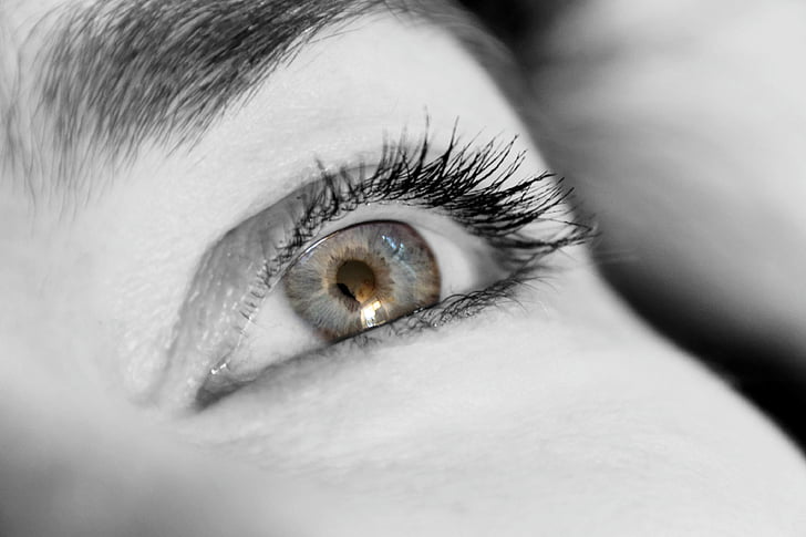 human eye grayscale photo