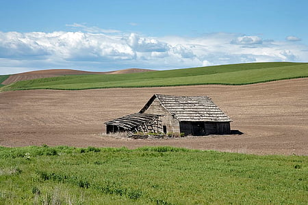 brown wooden barn surrounded with green grass field at daytime