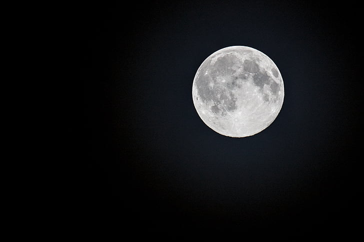 macro photography of full moon