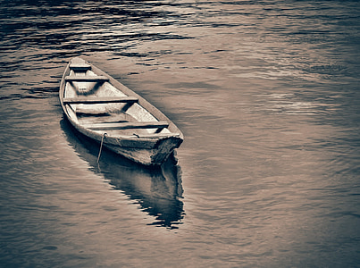 brown boat on water