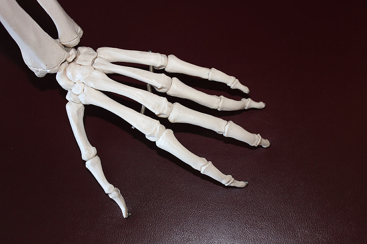 left skeleton hand on brown surface