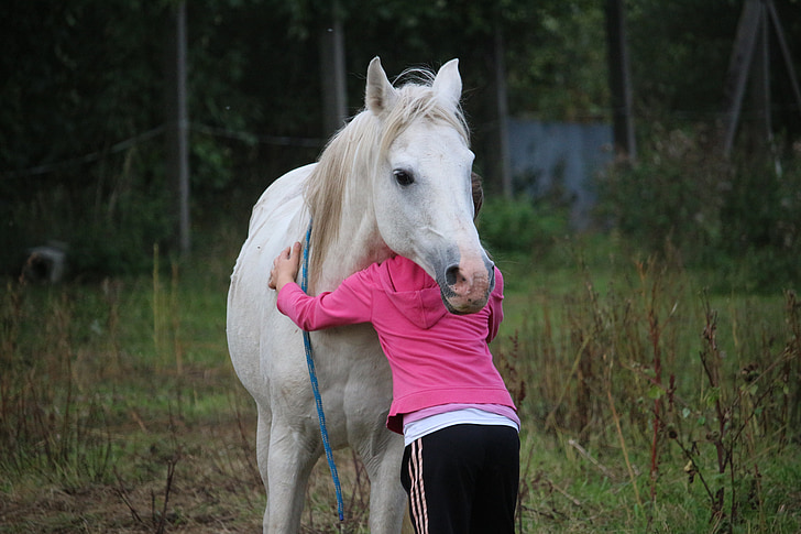 person in pink sweatshirt hugging white horse