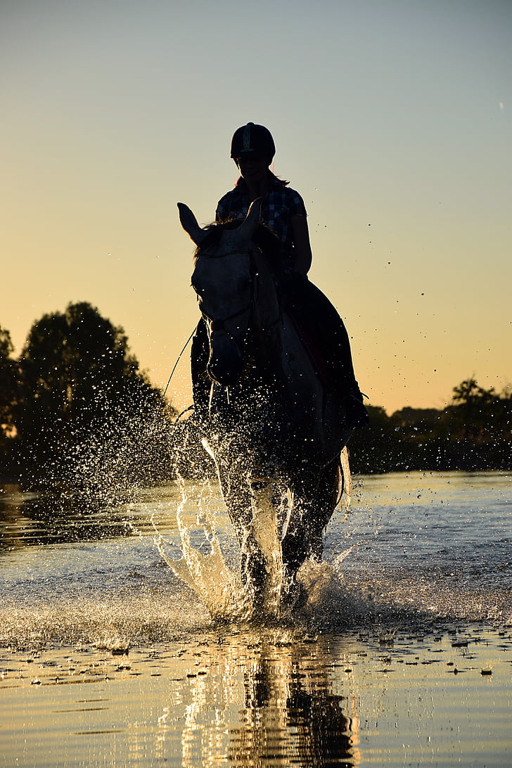 silhouette of person rinding horse
