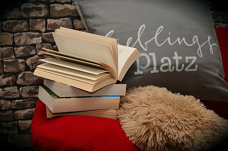 four assorted books, gray throw pillow, and red sofa