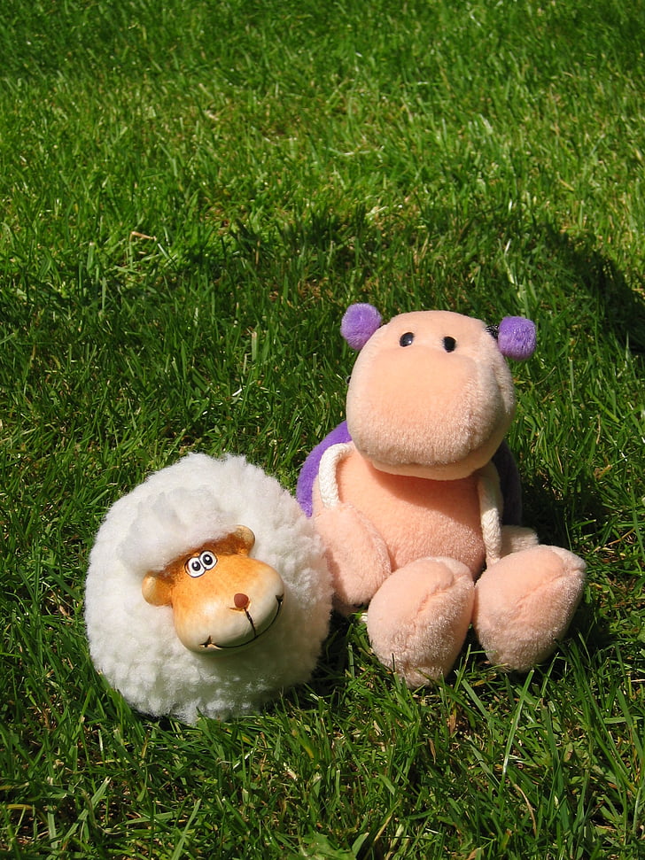 sheep and bettle plush toy on green grass