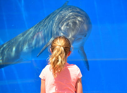 selective focus photography of girl standing in front of dolphin with glass