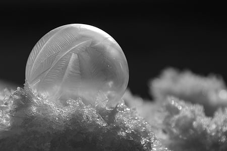 close-up photo of white bubble