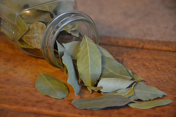 closeup photo of green ovate leaves from clear glass jar