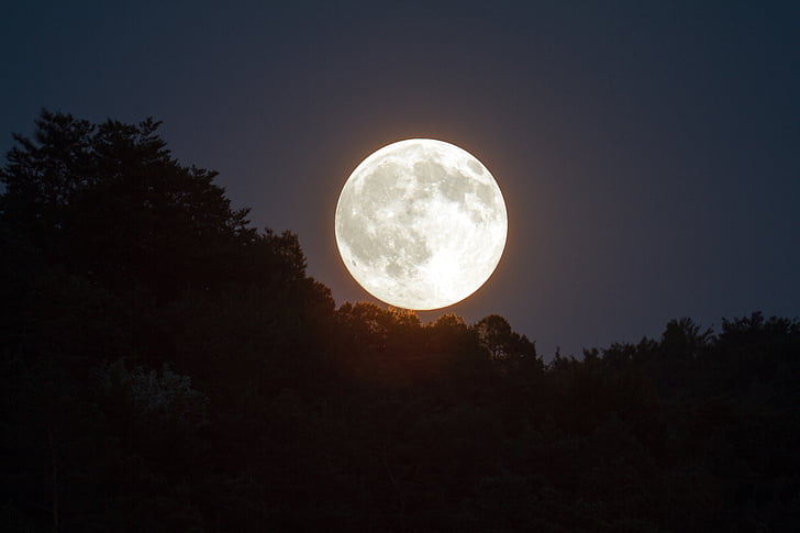 Moonlight At Night Sky Free Photo - SplitShire